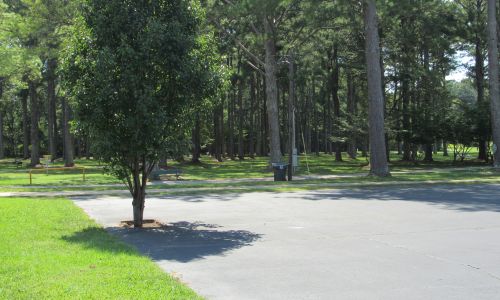 Photo of disc golf course